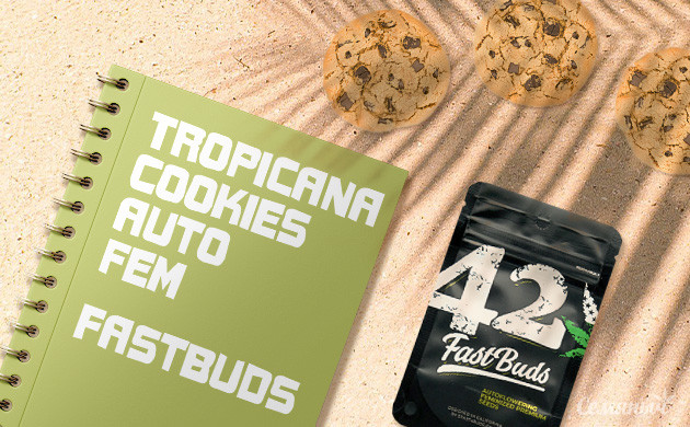 Гроурепорт сорта Tropicana Cookies Auto fem от FastBuds